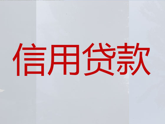 陆丰市贷款公司-银行信用贷款